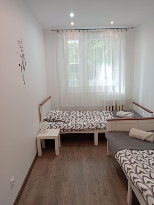 Apartament Queen Malbork Bagian luar foto